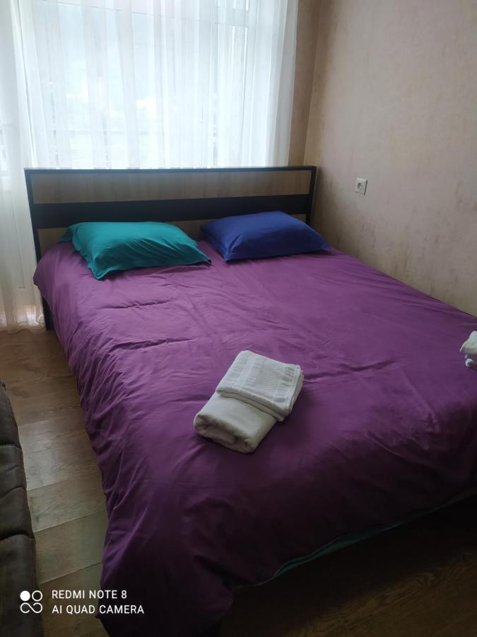 Alena'S Flat Apartment Borjomi Exterior photo