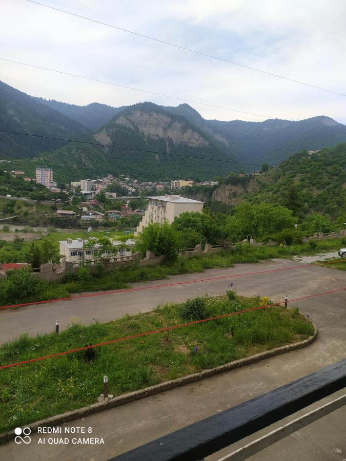 Alena'S Flat Apartment Borjomi Exterior photo